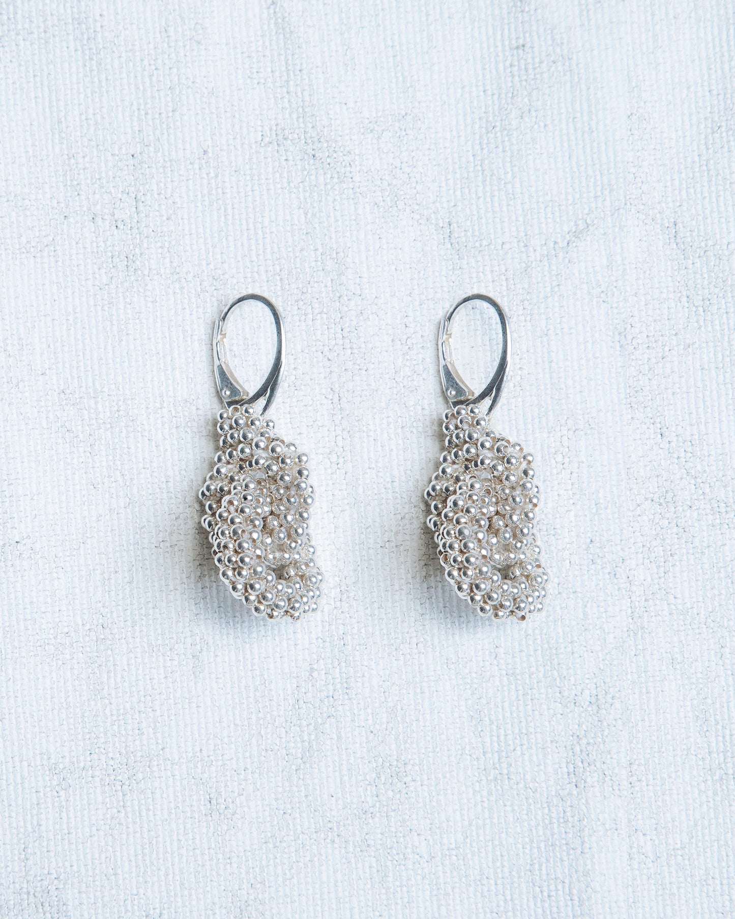 Insieme Earring in Silver